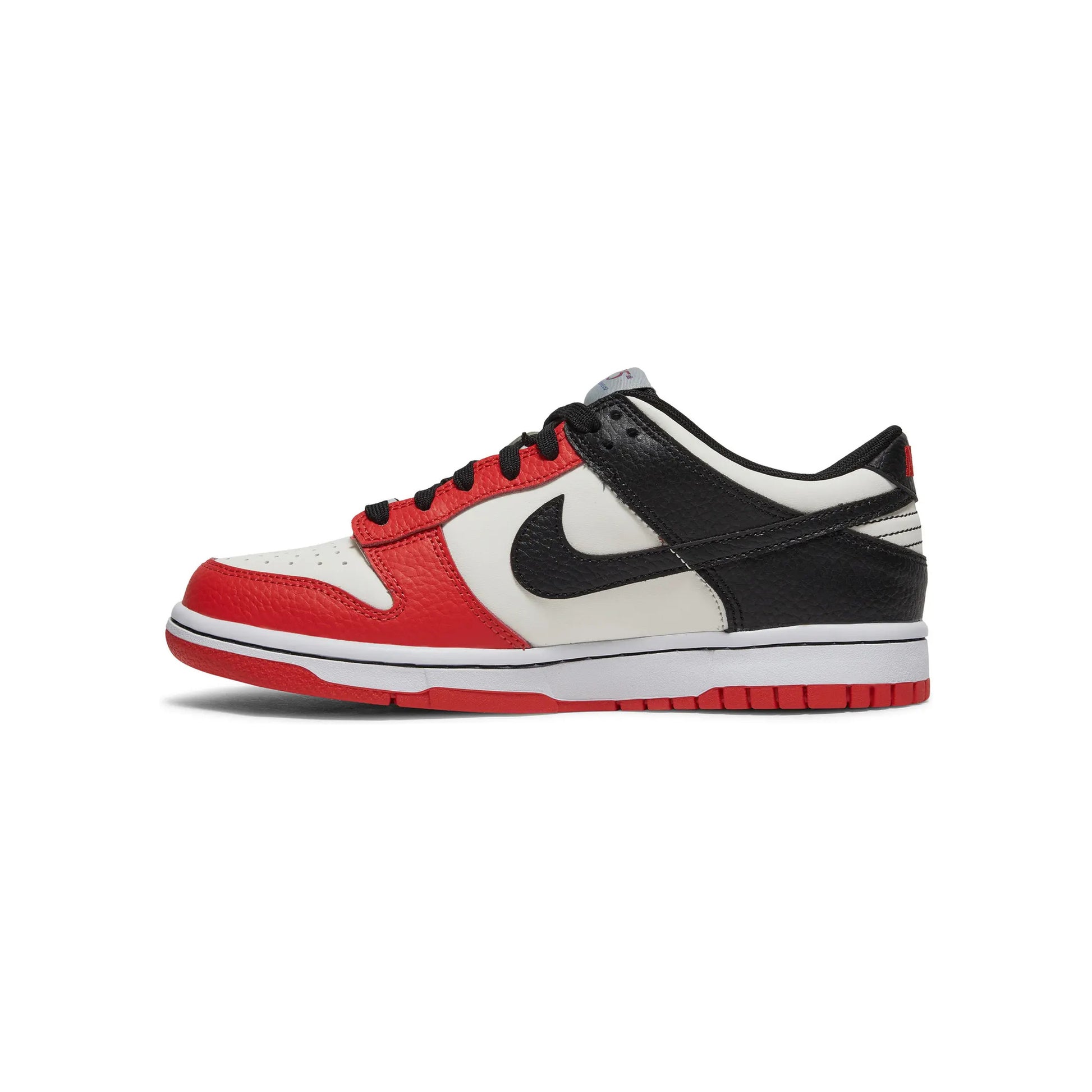 Nike Dunk Low EDM NBA 75th Anniversary Chicago GS view 2